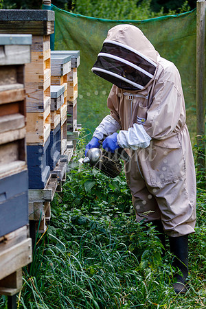Starston Community Bee Group is celebrating 10 years
