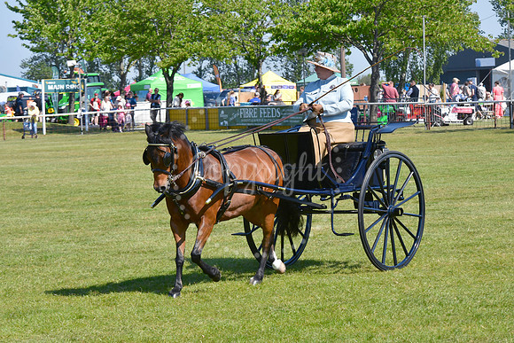 Nottinghamshire County Show