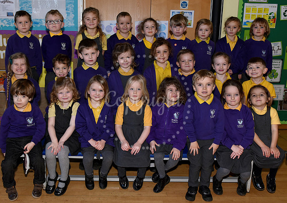 MLNF-22PM01079