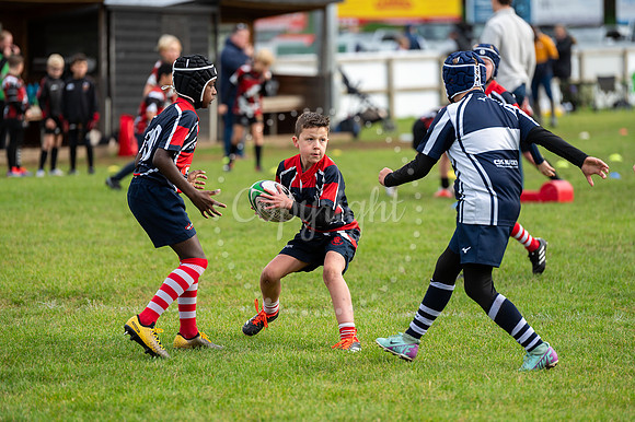 Bury St Edmunds Rugby Club, Southgate Green, Bury St Edmunds Bu