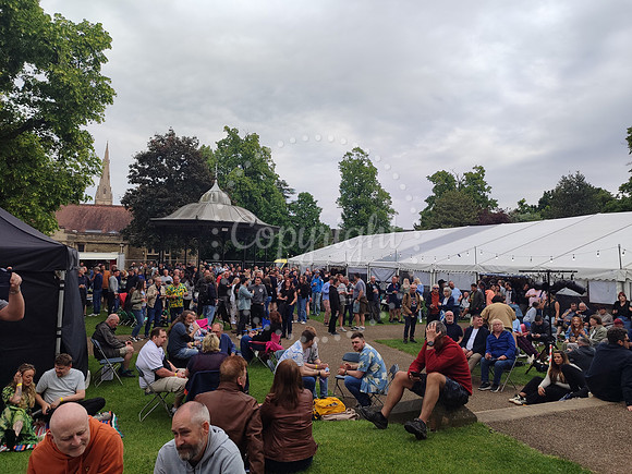 Beer Festival