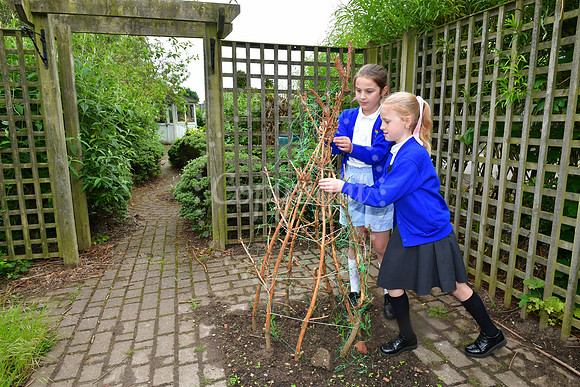 Farnsfield St Michael's primary school, new outdoor area