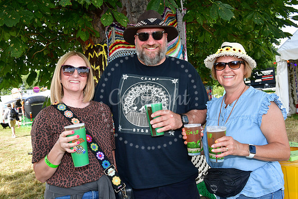 Gate to Southwell Festival