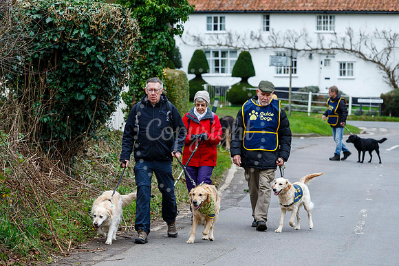 Fressingfield New Year’s Day Dog Walk