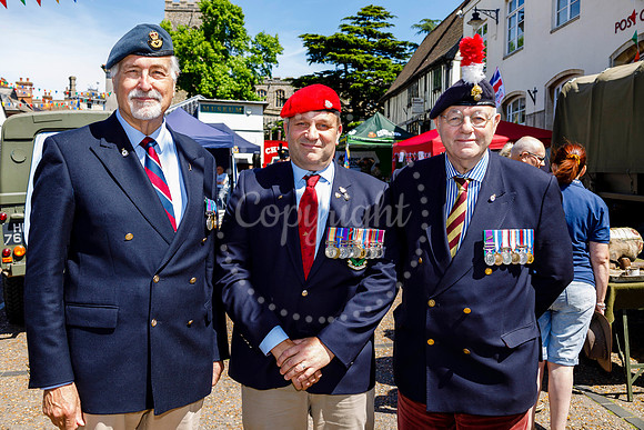 Diss Armed Forces Day