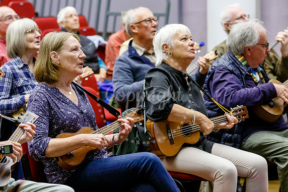 Ukele day held at the Cornhall in Diss