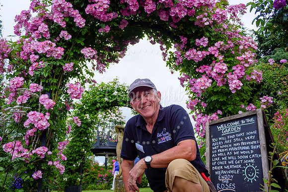 Peter Beales Rose Festival