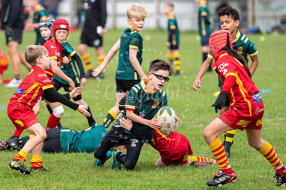 Bury St Edmunds Rugby Club, Southgate Green, Bury St Edmunds Bu