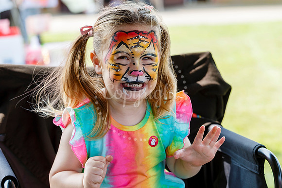 Roydon Summer Fair