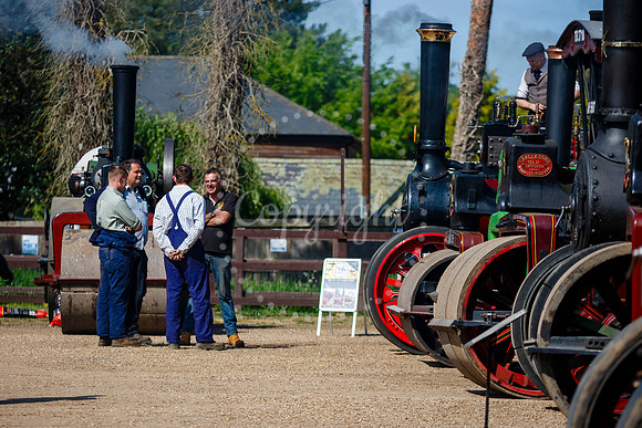 Bressingham Steam Museum annual steam gala