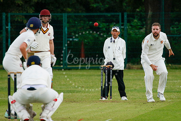 Cricket action from Diss vs Downham Stow II