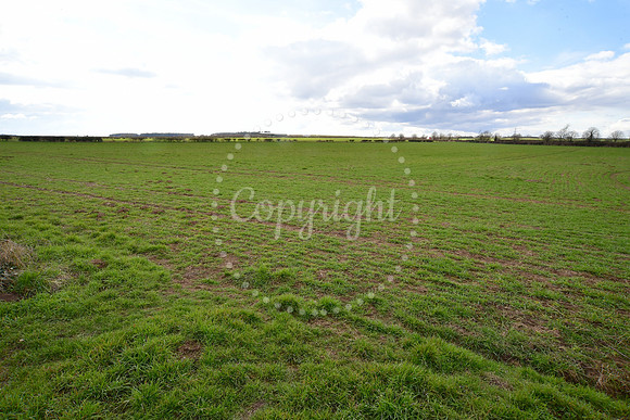 One Earth solar farm, Dunham on Trent
