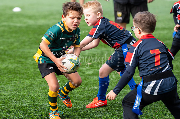 Bury St Edmunds Rugby Club, Southgate Green, Bury St Edmunds Bu