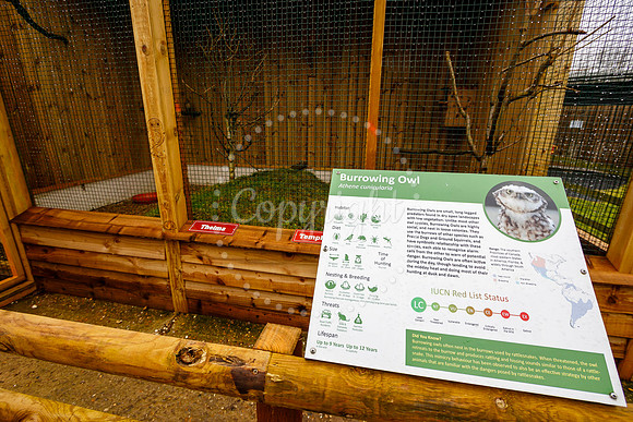 Suffolk Owl Sanctuary