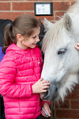 NewmarketNewmarket Stables open day and events on The Severals.