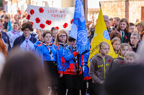 Harleston Annual Remembrance Parade and The Royal British Legion Poppy Appeal