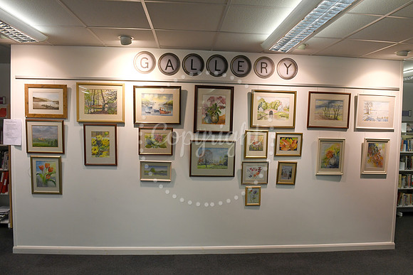 Art exhibition at Bingham Library