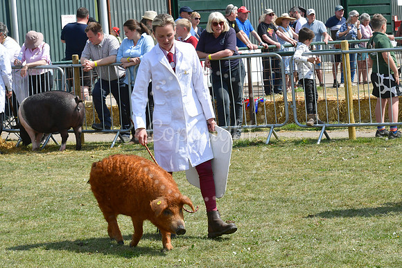 Nottinghamshire County Show