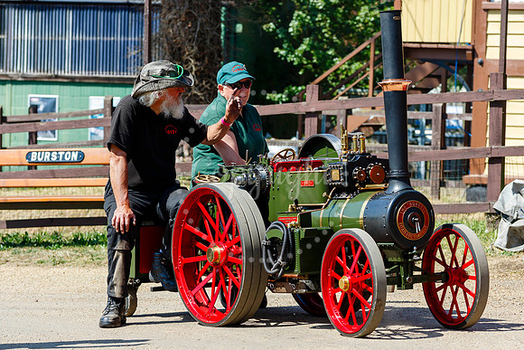 Bressingham Steam Museum annual steam gala