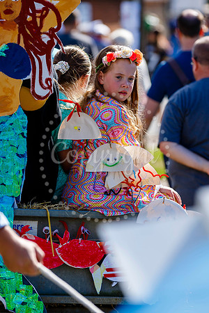 Pulham Market Carnival whose theme this year of ‘Under the Sea