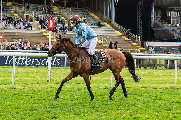 Newmarket July CourseNewmarket Town Plate. Picture by Mark West