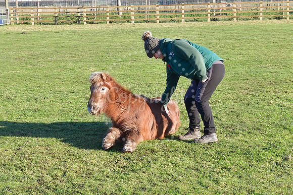 Behind the scenes look at White Post Farm