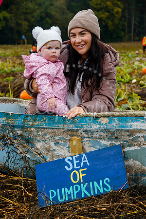 Mrs G’s Pumpkin Patch in Garboldisham opening day