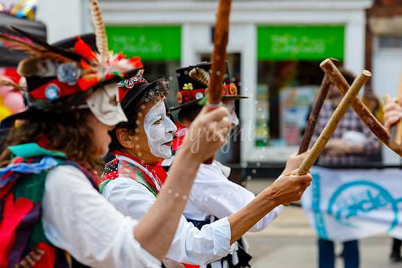 Harleston Ladies Circle Springfest
