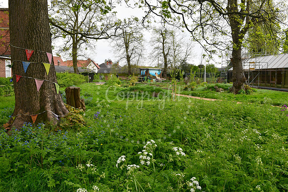 Work at The Queen Elizabeth Memorial Garden