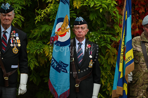 Rose Garden, Abbey Gardens Remembrance service. Picture by Mark