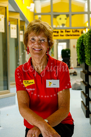 Dogs Trust Snetterton Rehoming Centre