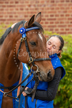 NJ Newmarket National Horseracing Museum, Godolphin therapy hors