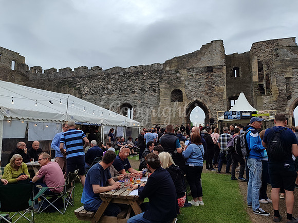 Beer Festival