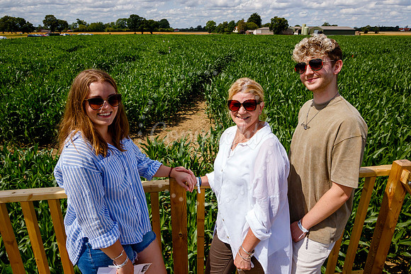 Pulham Market Maize Maze and PYO Wildflowers held at Pulham Patc