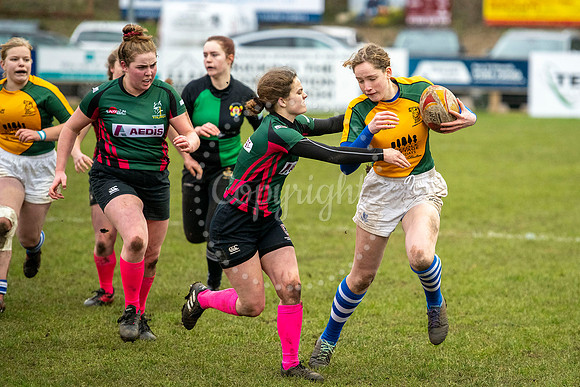 Bury St Edmunds Rugby Club, Southgate Green, Bury St EdmundsThe