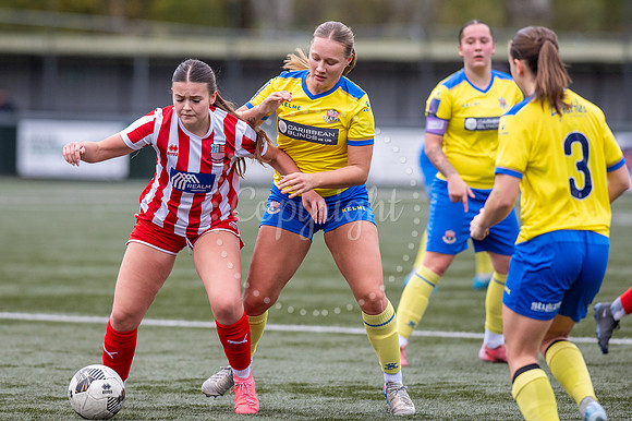 AFC Sudbury, Brundon Lane, Sudbury Football - AFC Sudbury hosti