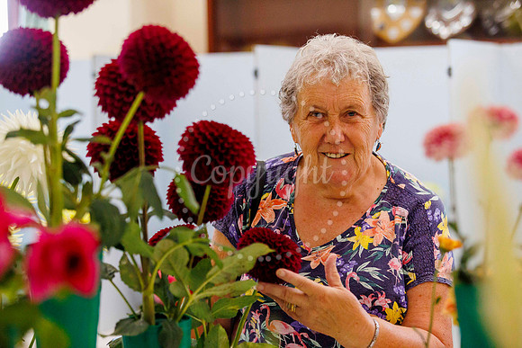 Diss Horticultural Society Annual flower show at Roydon Village