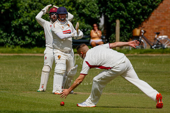 Cricket action from Diss vs Old Buckenham