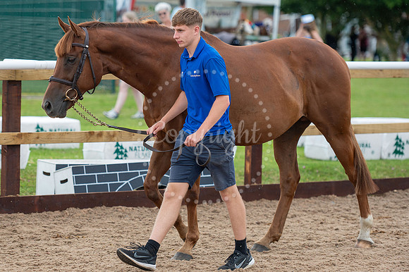 British Racing School, NewmarketFamily fun day. Picture by Mark