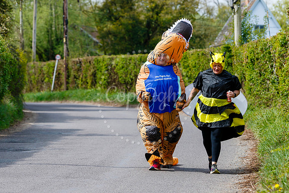 Dinosaur and Bumblebee Half Marathon Run
