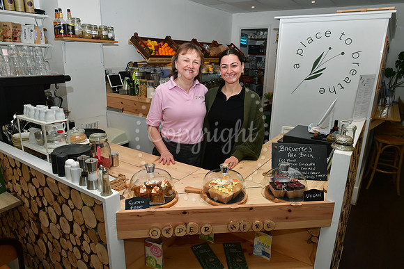 Tree Juice Bar and Wellbeing Studio