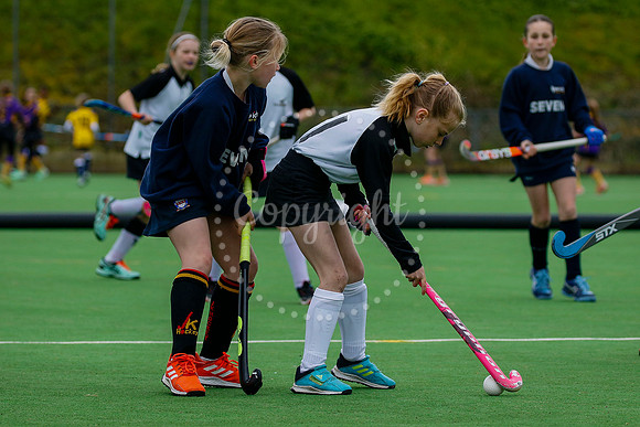 Harleston Magpies hosting the East In2Hockey Championships