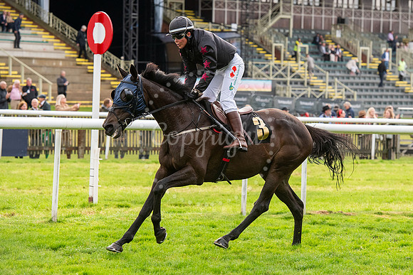Newmarket July CourseNewmarket Town Plate. Picture by Mark West
