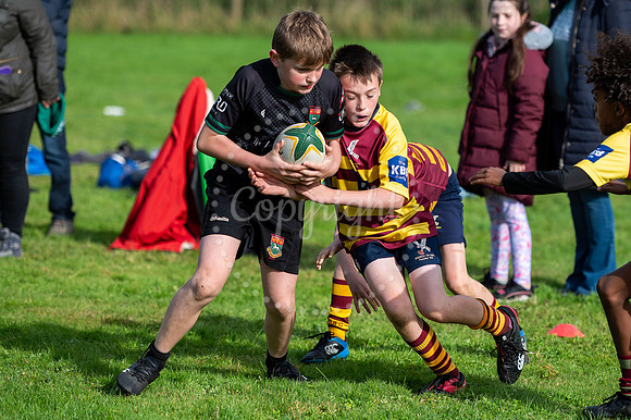 Bury St Edmunds Rugby Club, Southgate Green, Bury St Edmunds Bu
