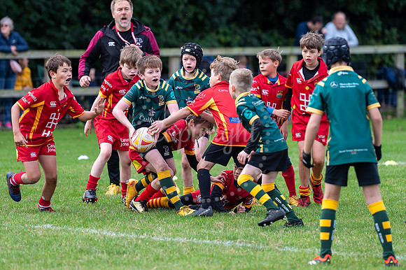 Bury St Edmunds Rugby Club, Southgate Green, Bury St Edmunds Bu