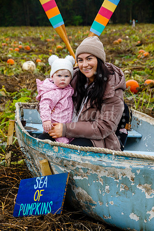 Mrs G’s Pumpkin Patch in Garboldisham opening day