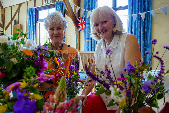 Bressingham and Fersfield Summer Fete