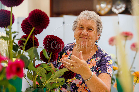 Diss Horticultural Society Annual flower show at Roydon Village