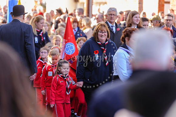 Harleston Annual Remembrance Parade and The Royal British Legion Poppy Appeal