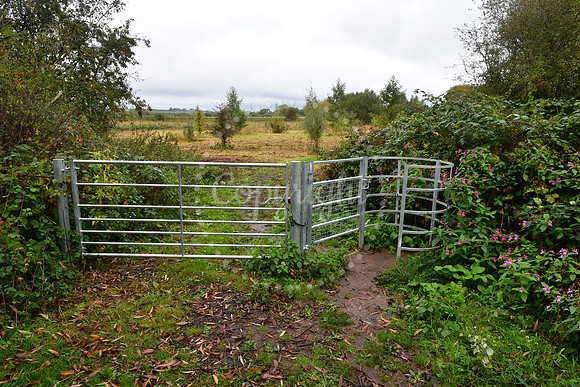 Gunthorpe Nature Reserve, opening